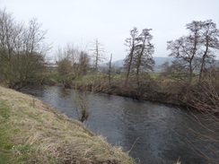 P2013DSC04951	The Derwent near Darley Bridge.