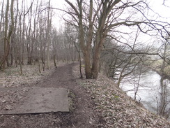 P2013DSC04988	A path through the old Rowsley Marshalling Yards.