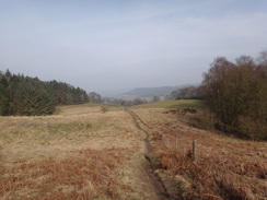 P2013DSC05011	Looking back from near Endcliffe Quarry.