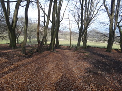 P2013DSC05015	The climb up onto Stanton Moor.