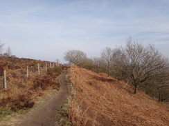 P2013DSC05032	Heading south along the edge of Stanton Moor.