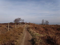 P2013DSC05034	Heading south along the edge of Stanton Moor.