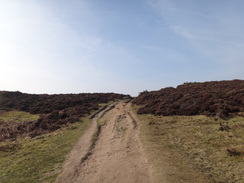 P2013DSC05043	Crossing the moor towards the Cork Stone.