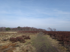 P2013DSC05054	Heading northeast along the western edge of the moor.