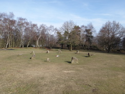 P2013DSC05063	Nine Ladies Stone Circle.