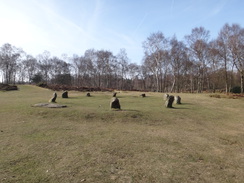 P2013DSC05068	Nine Ladies Stone Circle.