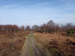 P2013DSC05078	Heading back southwestwards across Stanton Moor.