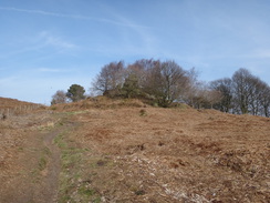 P2013DSC05082	The descent off Stanton Moor.