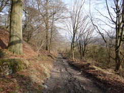 P2013DSC05091	Descending Clough Lane.