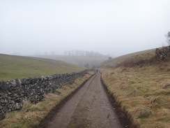 P2013DSC05361	The track climbing out of Hay Dale.