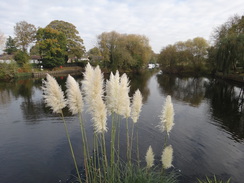 P2017DSC07027	The river in Great Paxton.