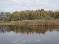 P2017DSC07036	A lake in Paxton Pits Nature Reserve.