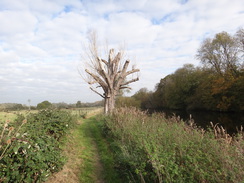 P2017DSC07040	Heading north towards Buckden.