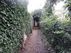 P2017DSC07195	The path leading from Houghton towards St Ives.