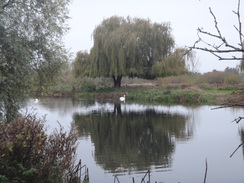 P2017DSC07321	The river by Priory Park.