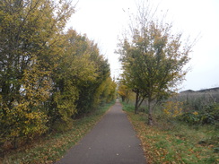 P2017DSC07336	Following the old railway line eastwards.