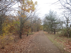 P2017DSC07341	Following the old railway line eastwards towards Willington.