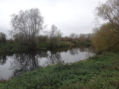 P2017DSC07368	The river on the way to Roxton lock.