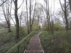 P2017DSC07405	A section of boardwalk passing Eynesbury.