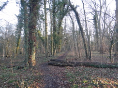 P2018DSC07473	The path through Woodend Plantation.