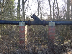 P2018DSC07493	A raised pipeline beside the trail.