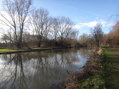 P2018DSC07542	The Great Ouse between Great Denham and Bedford.