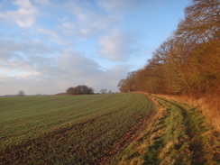 P2018DSC07580	The path alongside Park Wood.