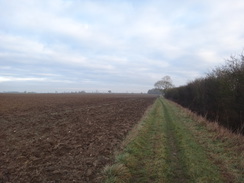 P2018DSC07592	Heading southwest towards Threeshire Wood.