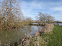 P2018DSC07787	The Great Ouse by Emberton Country Park.