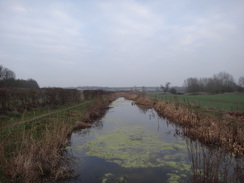 P2018DSC07805	A watered section of the Buckingham Canal.