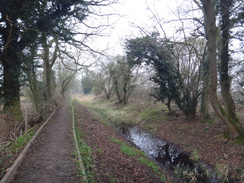 P2018DSC07818	A partly-restored section of canal near Hyde Lane Lock.