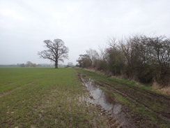 P2018DSC07866	The path between Beachampton and Calverton.