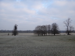 P2018DSC07974	A frosty Stowe Park.