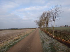 P2018DSC07993	The track heading west from Dadford.