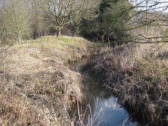 P2018DSC08016	The Great Ouse near Syresham Fields Farm.