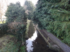 P2018DSC08039	The Great Ouse in Syresham.