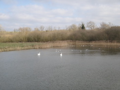 P2018DSC08072	The lake at Home Farm.