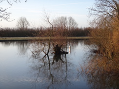 P2018DSC08119	The Ouse in Earith.