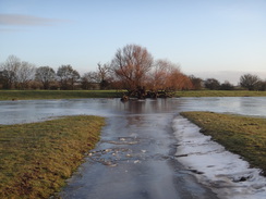 P2018DSC08125	A frozen ditch.