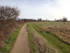 P2018DSC08432	The riverside path leading northeast away from Ely.