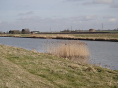 P2018DSC08464	Following the Great Ouse north from Queen Adelaide.