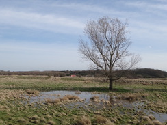 P2018DSC08610	Following the river north from Downham Bridge.