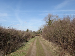 P2018DSC08832	The trail heading northeastwards towards Nassington.