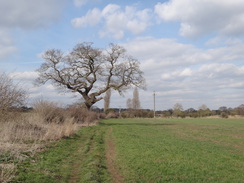 P2018DSC08879	The path between Yarwell and Wansford.