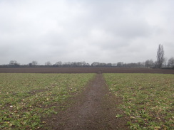 P2018DSC09022	The path leading towards Kislingbury.