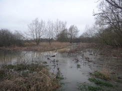 P2018DSC09126	The flooded river Nene at Ashton Mill.