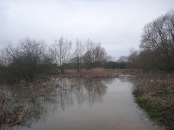 P2018DSC09128	The flooded river Nene at Ashton Mill.