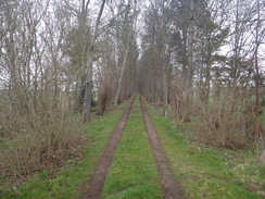 P2018DSC09171	The old railway trackbed to the south of Barnwell.