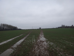 P2018DSC09174	A boggy field between Barnwell and Wigsthorpe.
