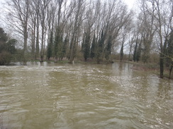 P2018DSC09291	Floodwaters at Eaglethorpe Mill.